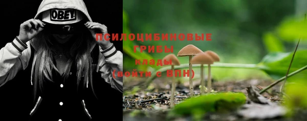 ГАЛЛЮЦИНОГЕННЫЕ ГРИБЫ Арсеньев