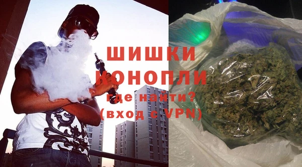 ГАЛЛЮЦИНОГЕННЫЕ ГРИБЫ Арсеньев