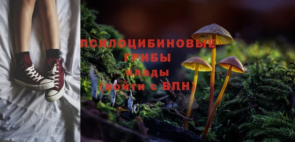 прущие крисы Аркадак